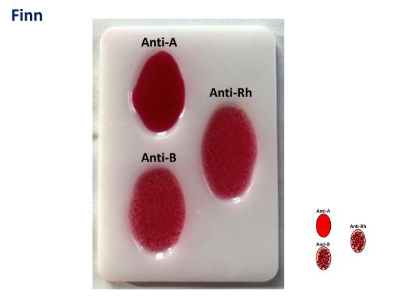 Solved To complete this assignment. Each question shows the