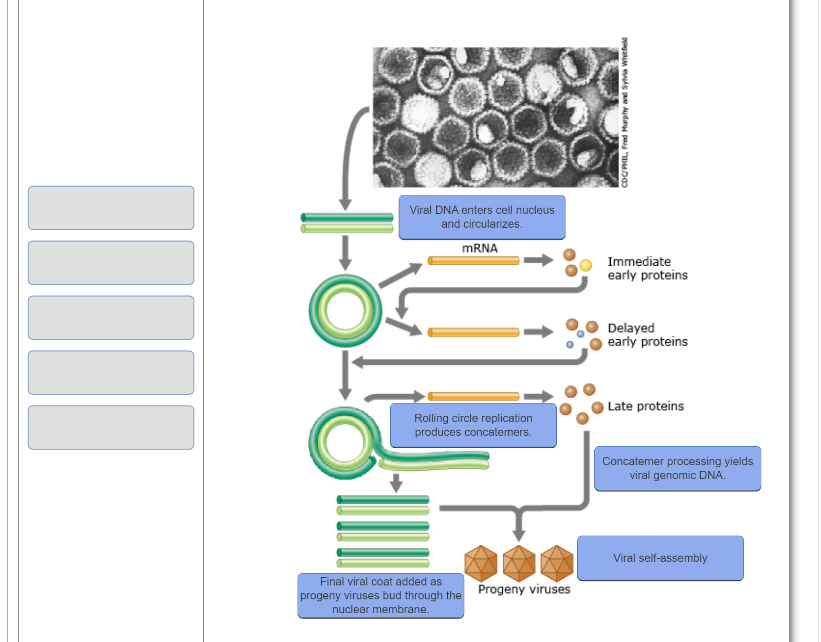 Solved PLease put correct labelling within diagram | Chegg.com