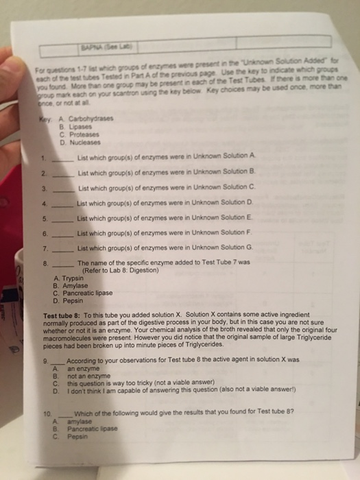 Solved st Lab Digestive Enzyme Challenge Directions Place