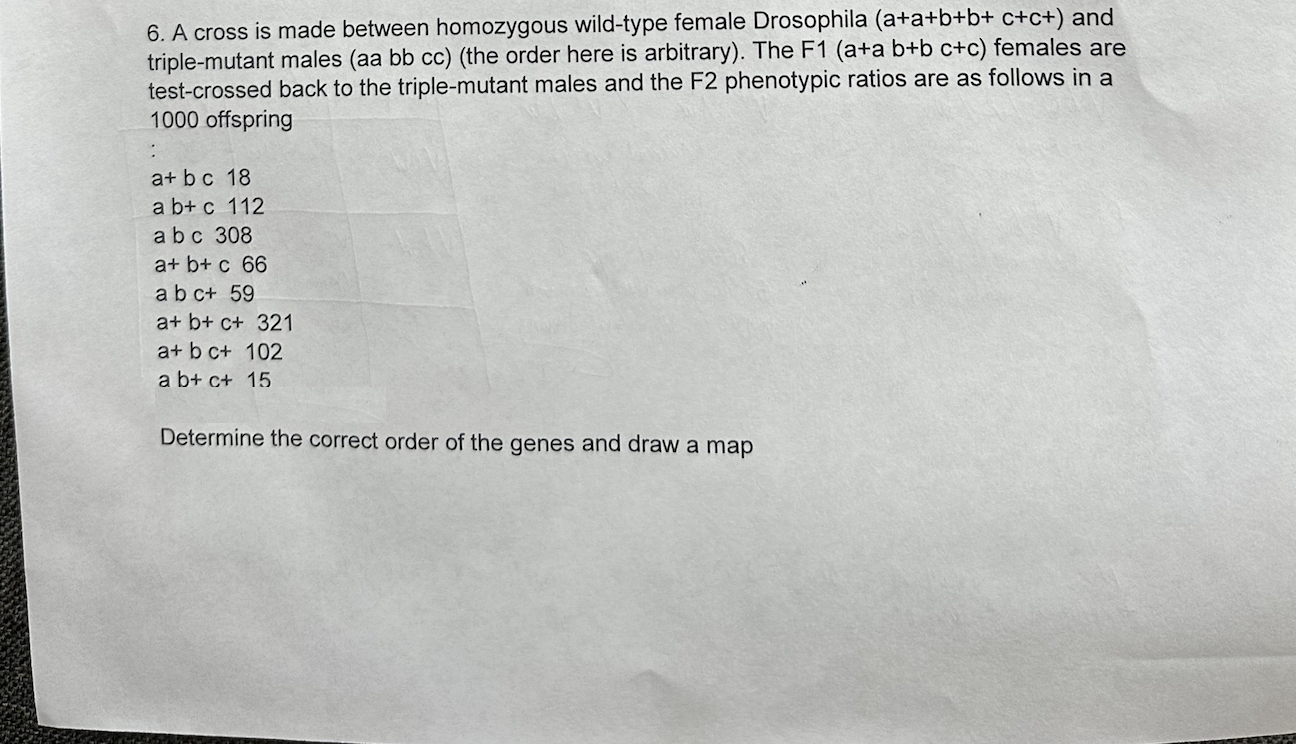 Solved A Cross Is Made Between Homozygous Wild-type Female | Chegg.com