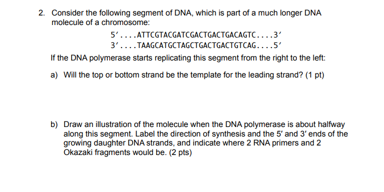 Solved 2. Consider the following segment of DNA, which is | Chegg.com