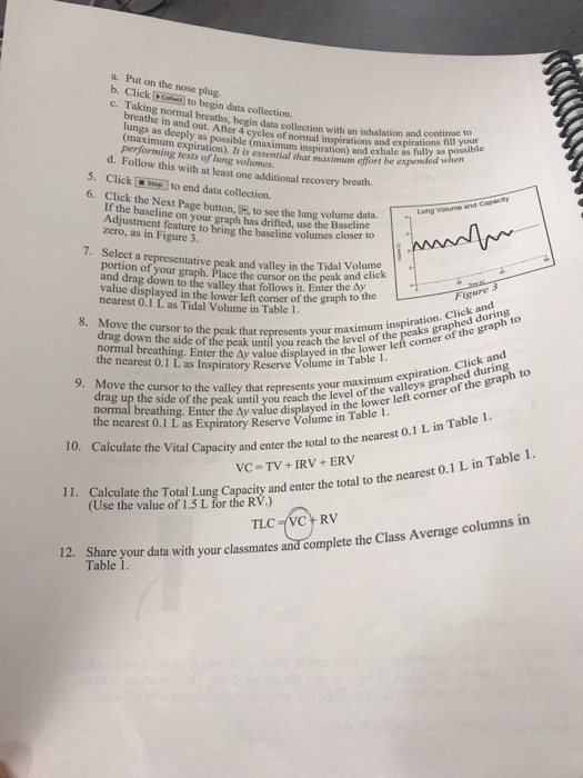 Solved: DATA Table 1 Class Average (Male) Volume Measureme... | Chegg.com