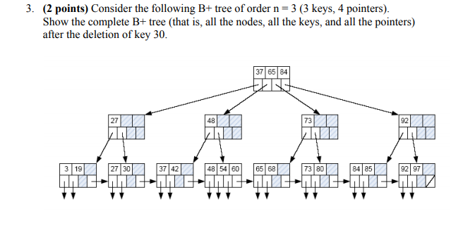 Solved 3. (2 points) Consider the following B+ tree of order | Chegg.com