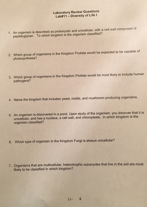 laboratory essay questions