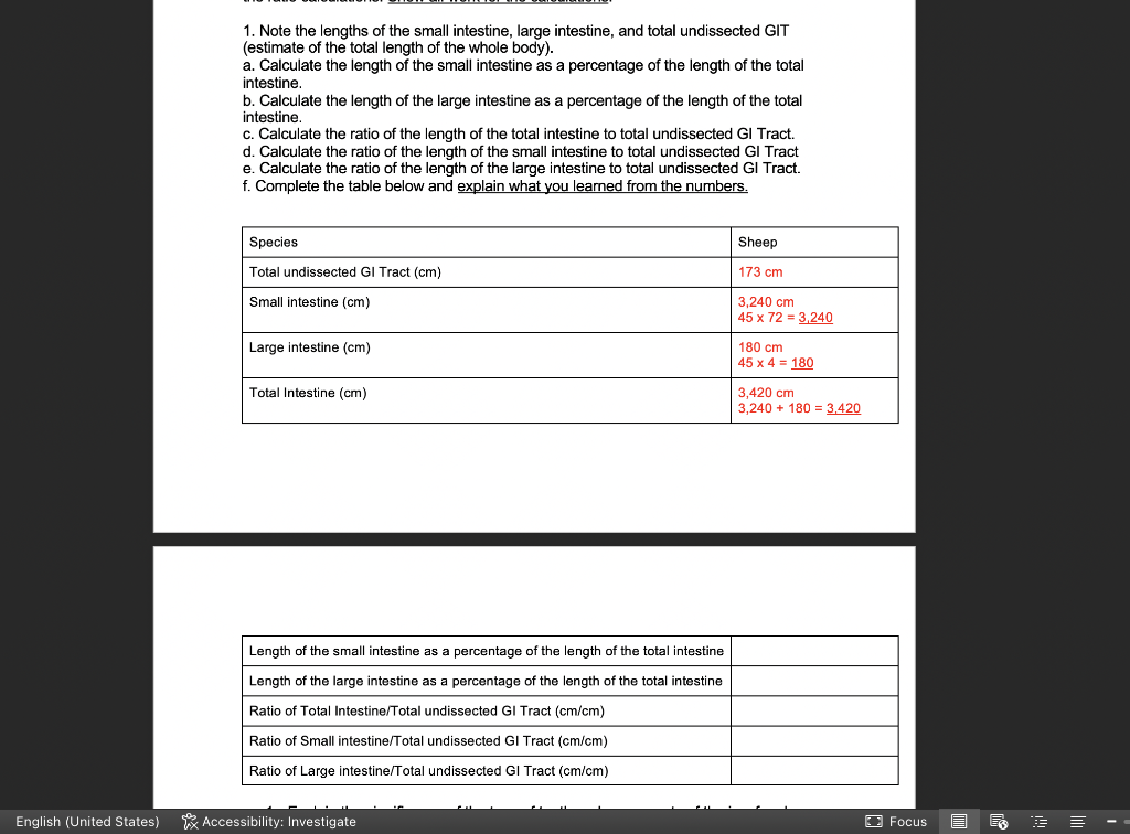 Solved 1. Note the lengths of the small intestine, large