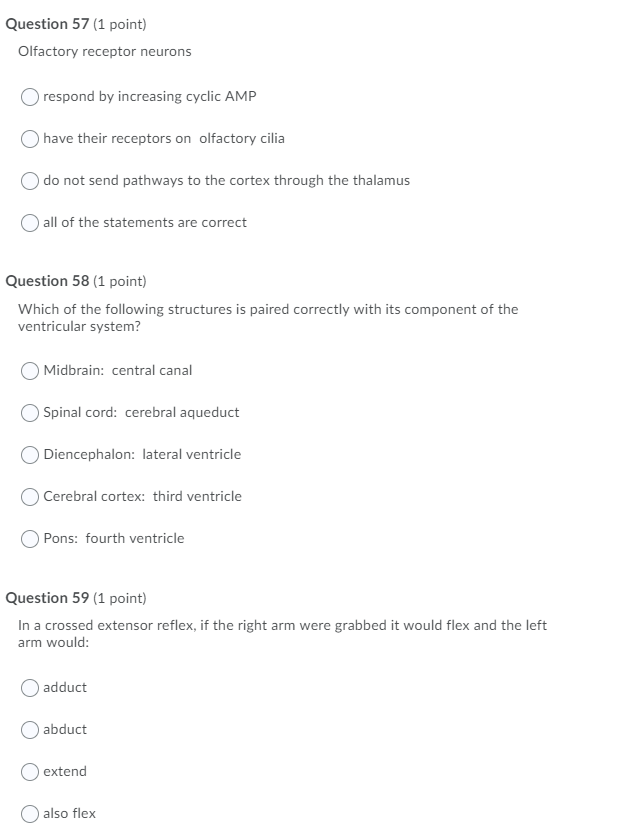 Solved Which Cell Type Develops Into Olfactory Receptor Chegg Com