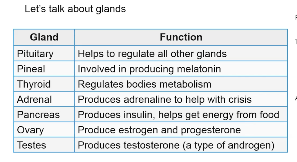 Let's talk about glands Gland Function Pituitary | Chegg.com
