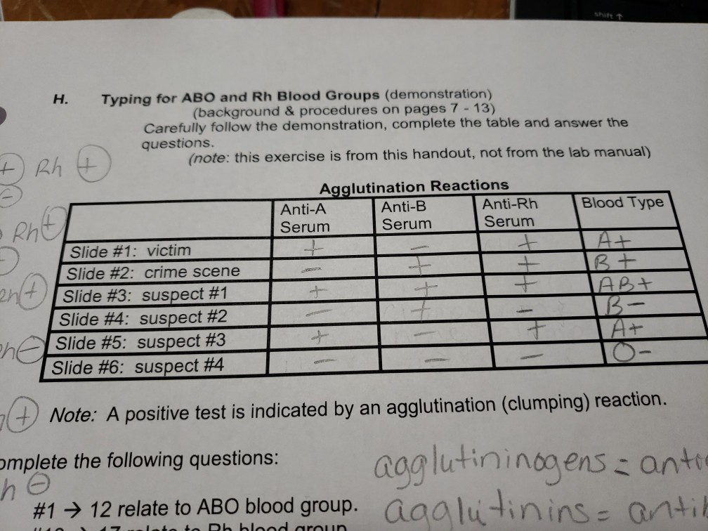 blood-type-agglutination-chart-18-blood-typing-blood-types-agglutination-chart