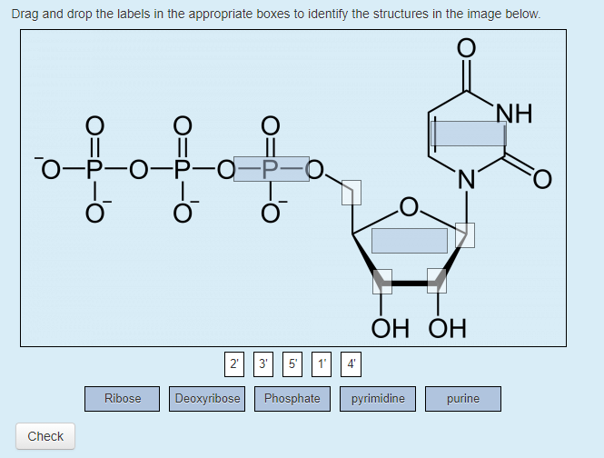 Solved Drag And Drop The Labels In The Appropriate Boxes Chegg Com