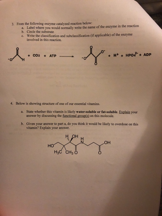 Solved 3. From the following enzyme catalyzed reaction