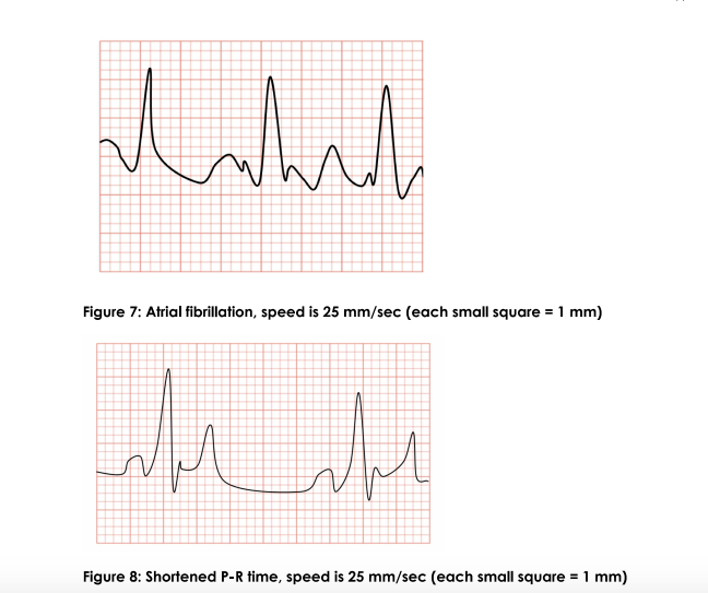 Solved Using the information that is provided in the | Chegg.com