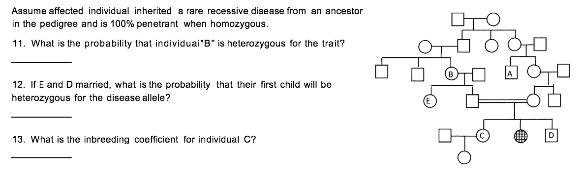 Solved Assume affected individual inherited a rare recessive | Chegg.com