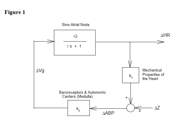 Solved Figure 1 shows a simplified linear model of the | Chegg.com