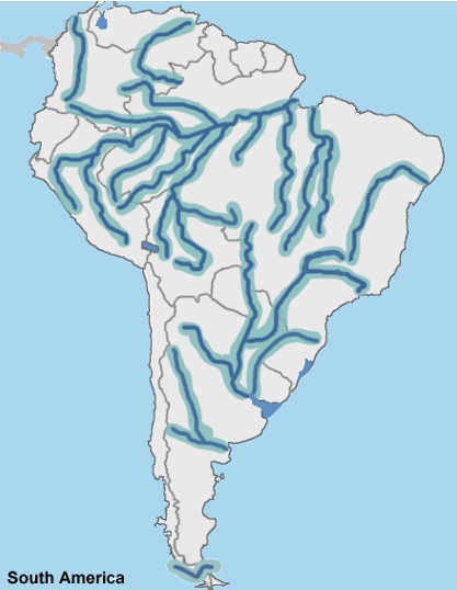 Solved South America A Using A Red Pencil Outline The Chegg Com