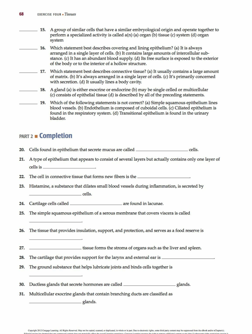 LABORATORY REPORT QUESTIONS EXERCISE 4 Tissues Name | Chegg.com