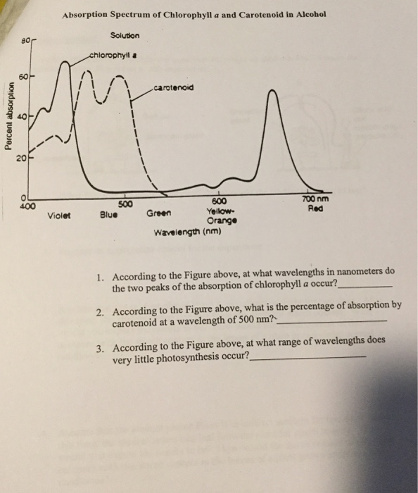 Solved Absorption Spectrum of Chlorophyll a and Carotenoid
