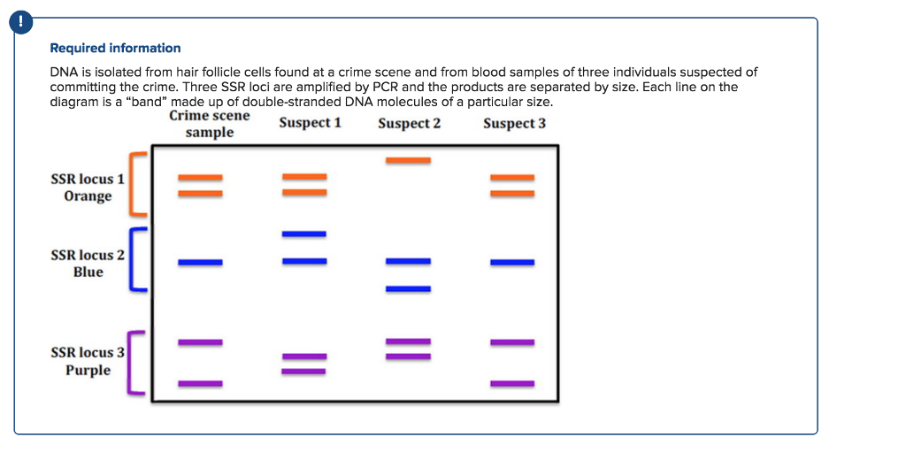 cells found at the crime chegg