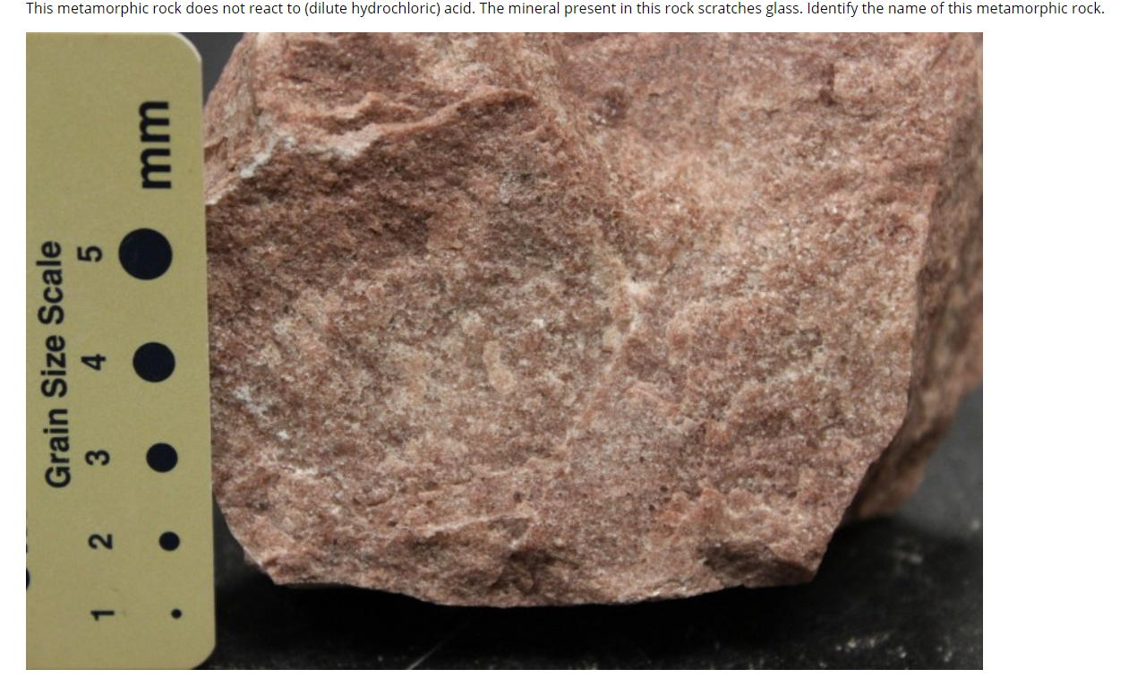 Solved This metamorphic rock does not react to (dilute