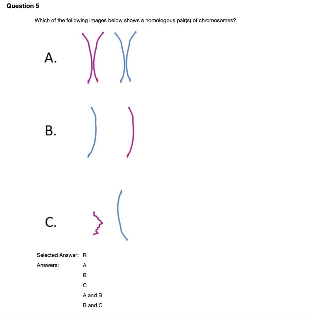 Solved Question 5 Which of the following images below shows | Chegg.com