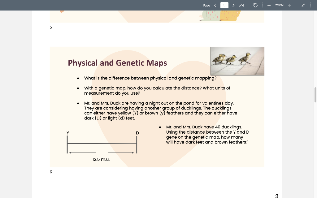 Solved Page of 6 ZOOM 5 Physical and Genetic Maps What | Chegg.com