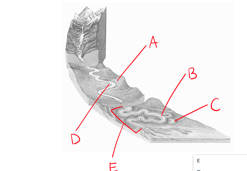 Solved .A B 3 -C E E gures Identify the features in figure | Chegg.com