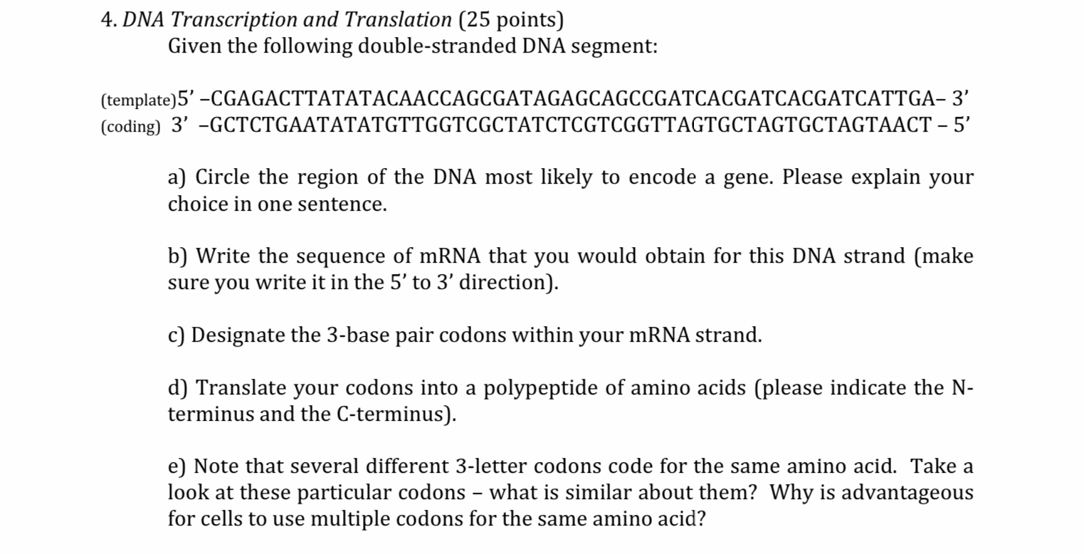 Solved 4. DNA Transcription and Translation (25 points) | Chegg.com