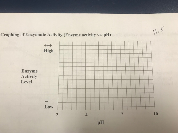 Solved C. EFFECT OF pH Starch test Color Activity pH-2 Dark | Chegg.com