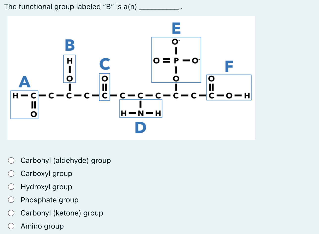 solved-the-functional-group-labeled-b-is-a-n-carbonyl-chegg