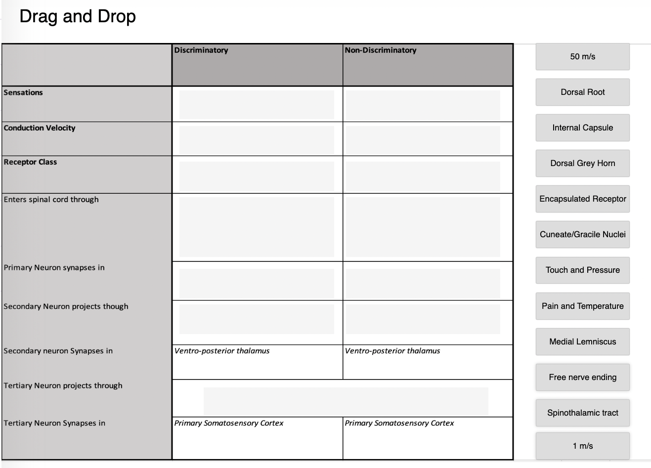 Solved Drag and Drop | Chegg.com