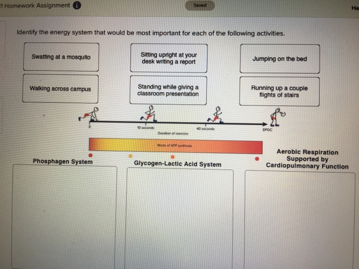 Solved 1 Homework Assignment Saved He Identify the energy