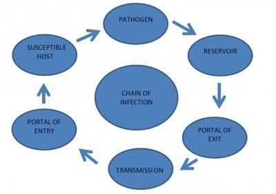 PATHOGEN SUSCEPTIBLE HOST RESERVOIR CHAIN OF INFECTION ✓ PORTAL OF ENTRY PORTAL OF EXIT TRANSMISSION
