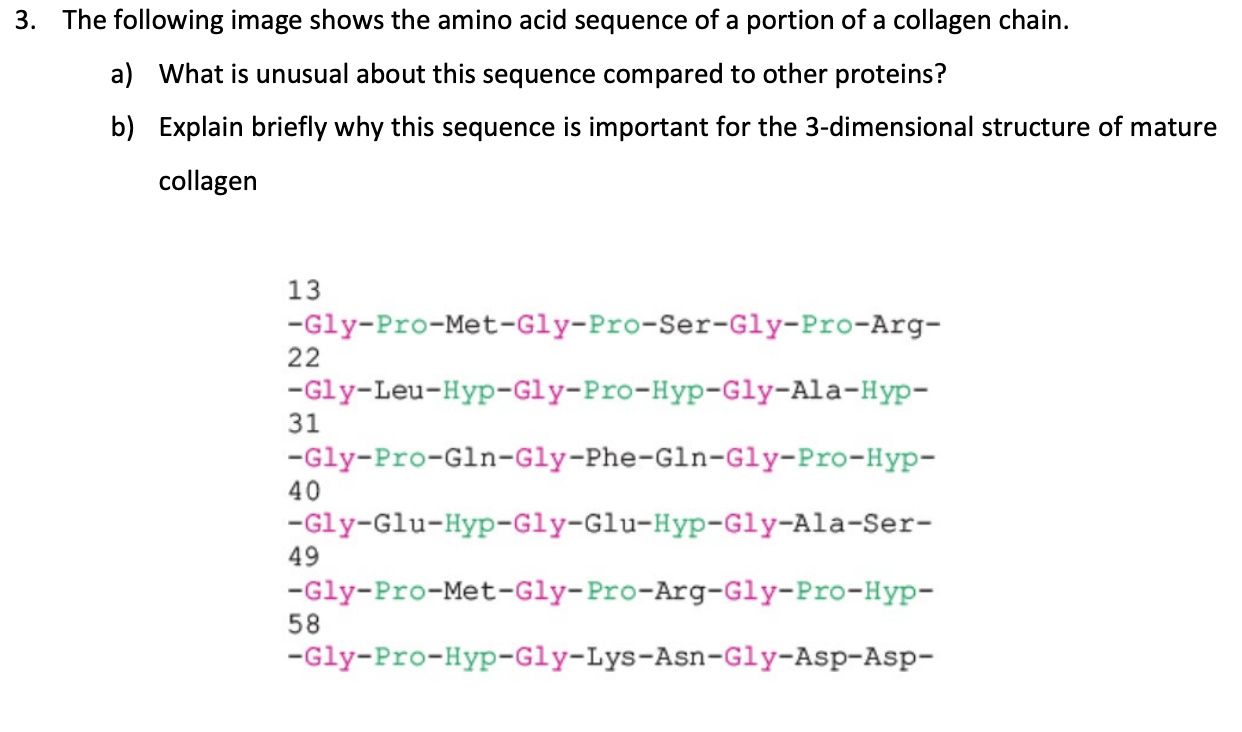 Solved 1 The Following Sequence Of Amino Acids Is Very Chegg Com