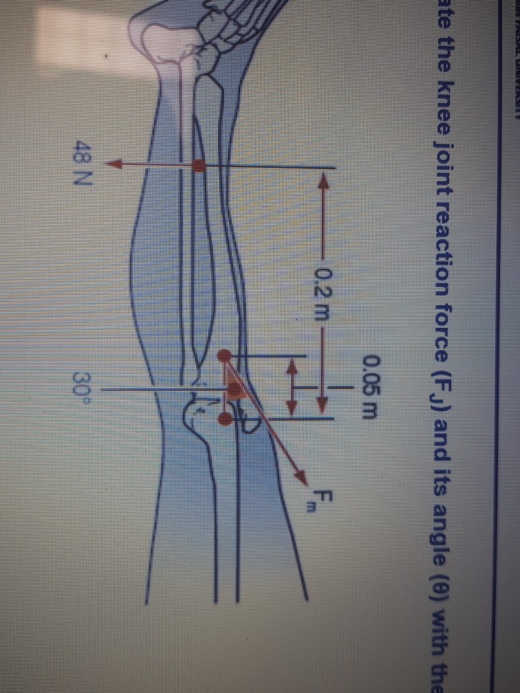 Solved Calculate the knee joint reaction force (F.) and its | Chegg.com