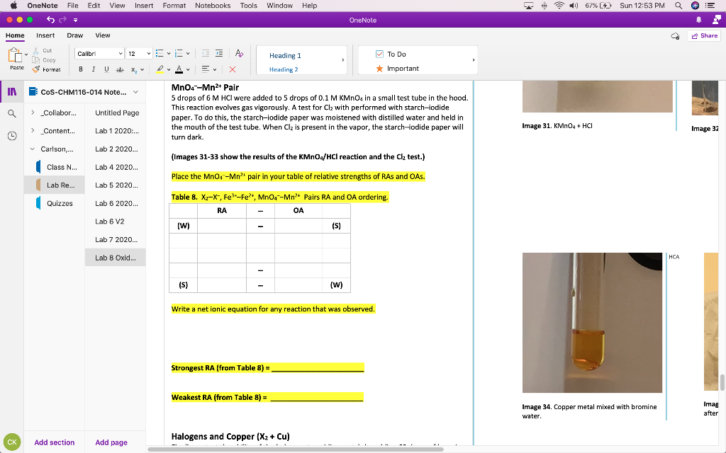 OneNote File Edit View Insert Format Notebooks Tools | Chegg.com