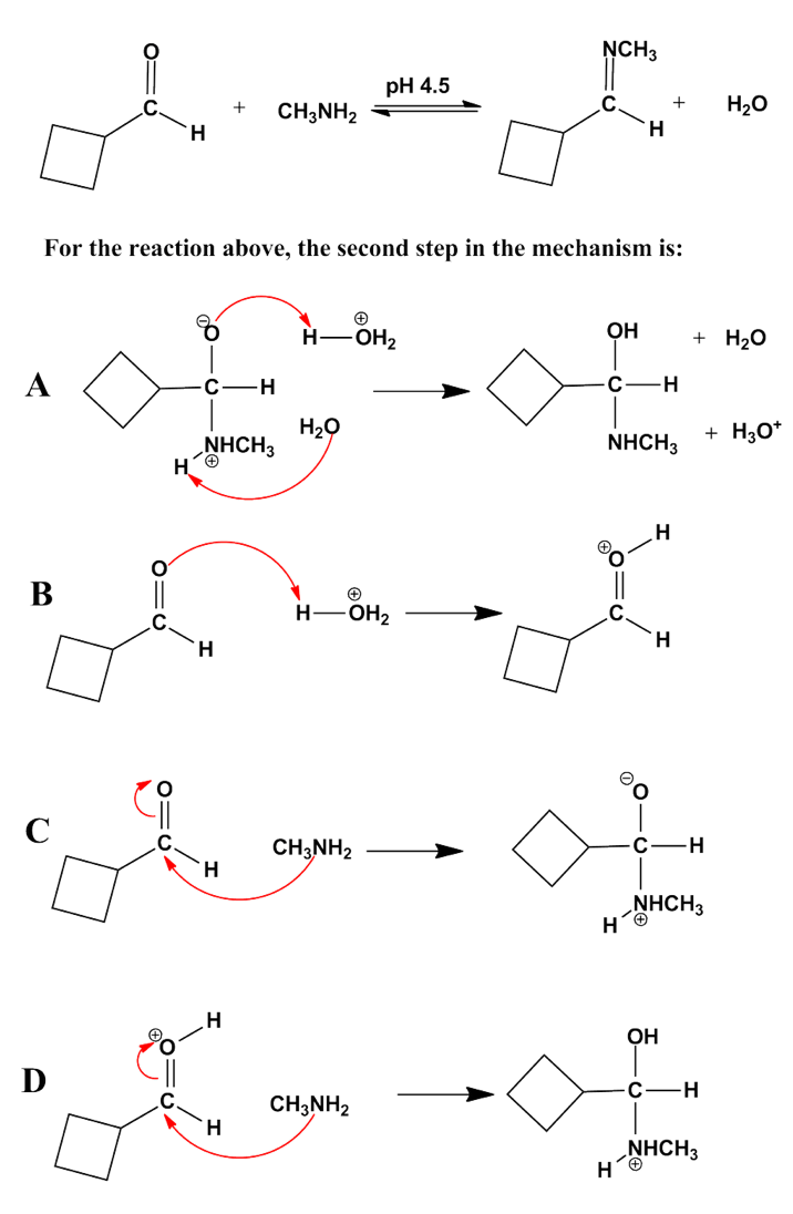 Solved NCH3 pH 4.5 C + o CH3NH2 H2O H H For the reaction | Chegg.com