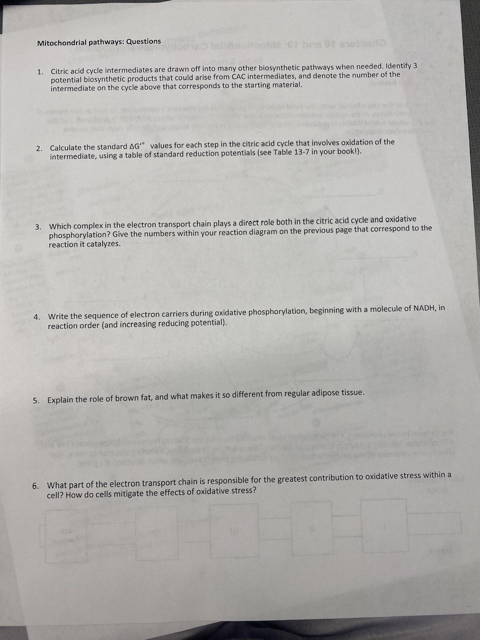 Solved Mitochondrial pathways: Questions 1. Citric acid | Chegg.com