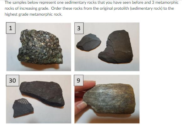 Solved The Samples Below Represent One Sedimentary Rocks | Chegg.com