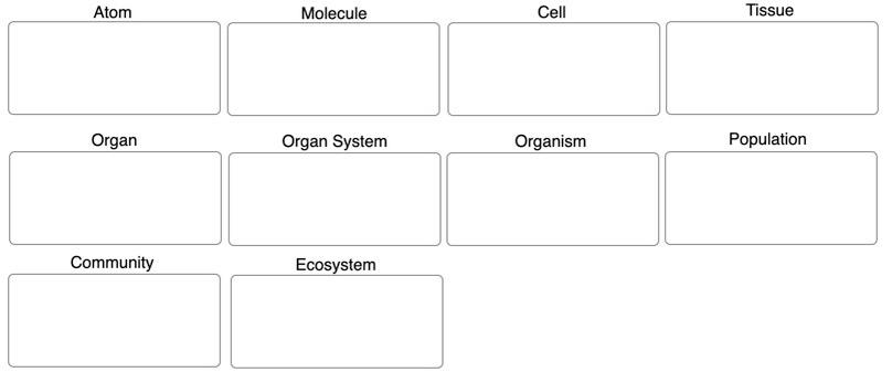 Solved Higher levels of biological organization Classify the | Chegg.com