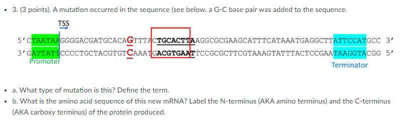 Solved (3 points). A mutation occurred in the sequence | Chegg.com