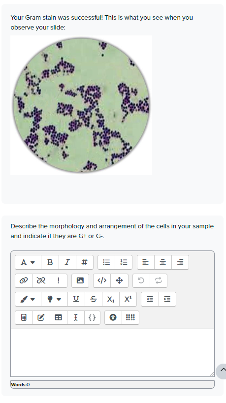 Solved Your Gram stain was successful! This is what you see | Chegg.com