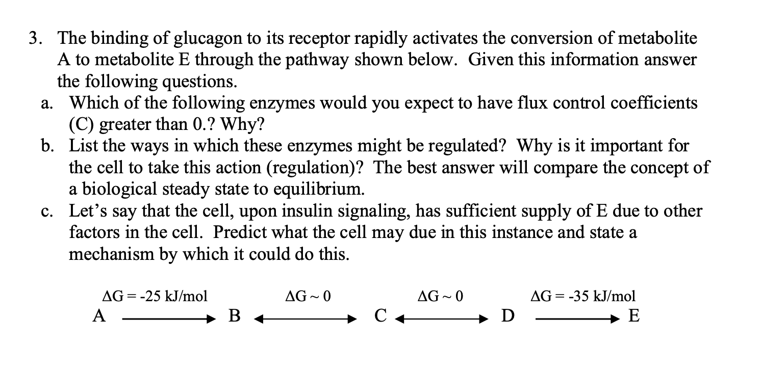 3. The binding of glucagon to its receptor rapidly activates the conversion of metabolite A to metabolite E through the pathw