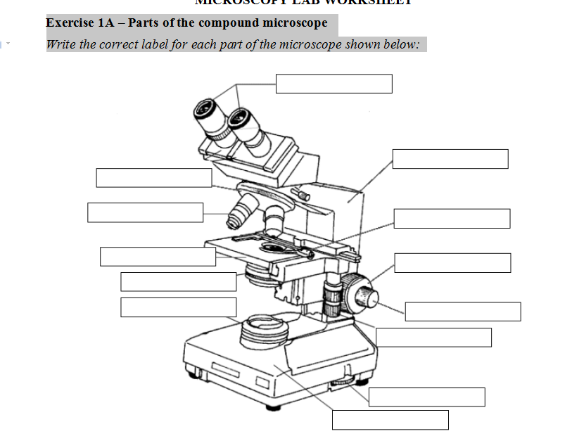 Solved Exercise 1A – Parts of the compound microscope Write | Chegg.com