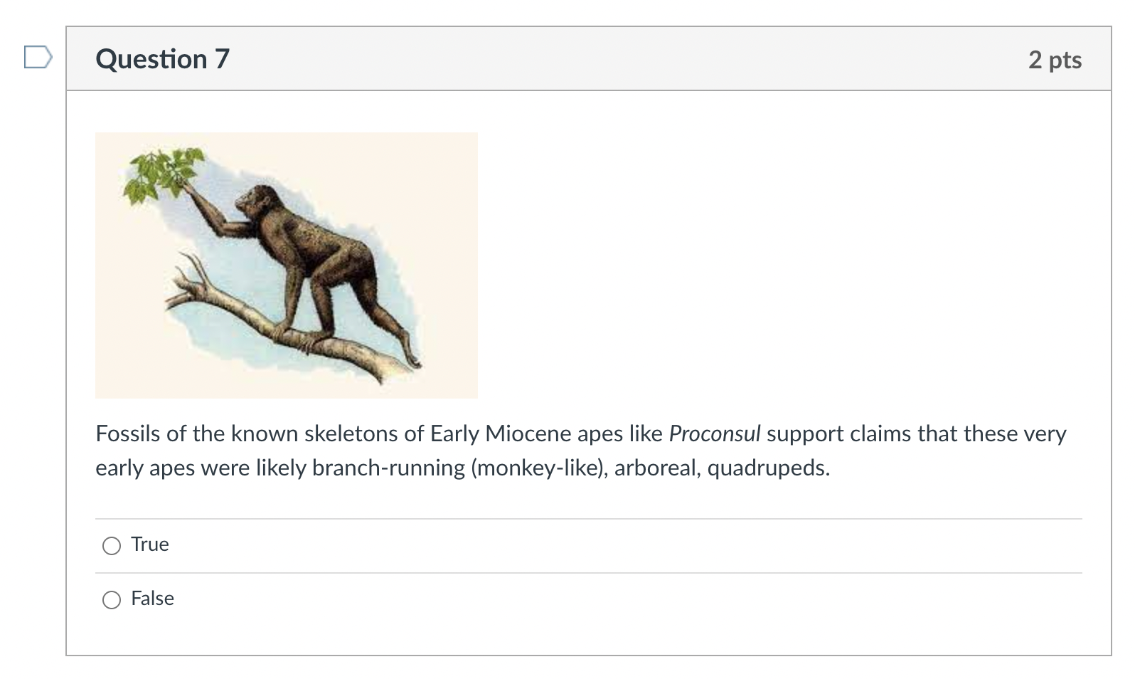 Solved Question 7 2 pts Fossils of the known skeletons of | Chegg.com