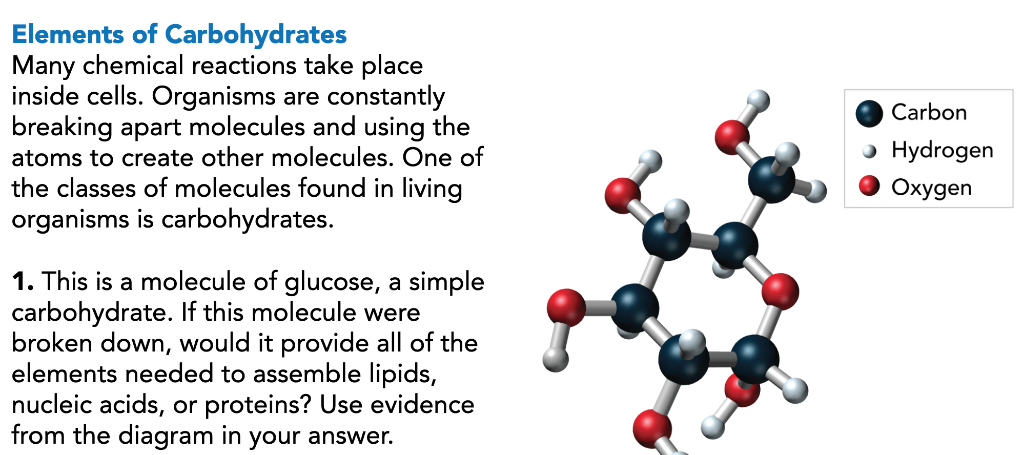 solved-elements-of-carbohydrates-many-chemical-reactions-chegg