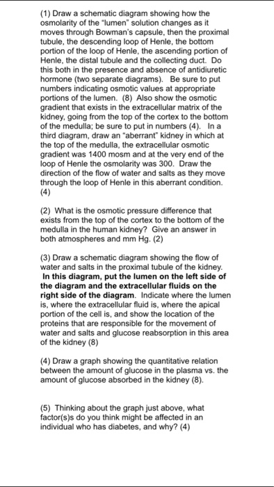 Solved Draw a schematic diagram showing how the osmolarity | Chegg.com