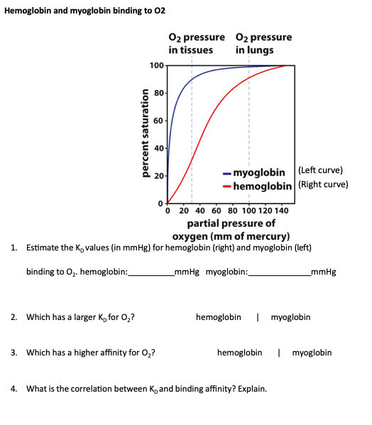 Solved Hemoglobin and myoglobin binding to 02 O2 pressure O2 | Chegg.com