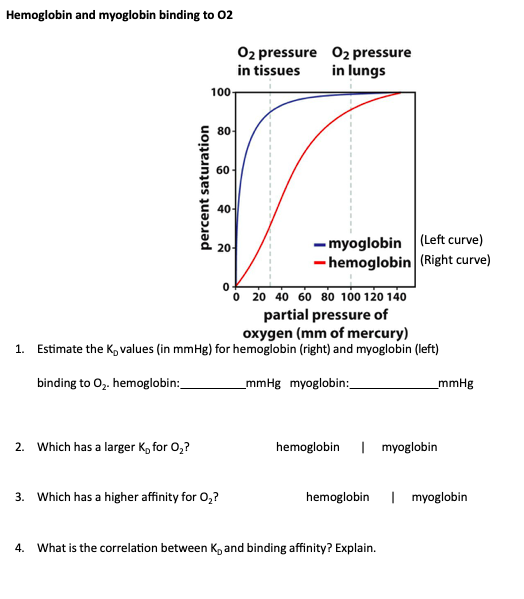 Solved Hemoglobin and myoglobin binding to 02 O2 pressure O2 