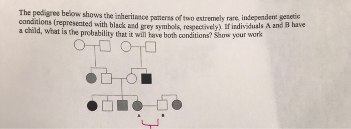 Solved The pedigree below shows the inheritance patterns of | Chegg.com