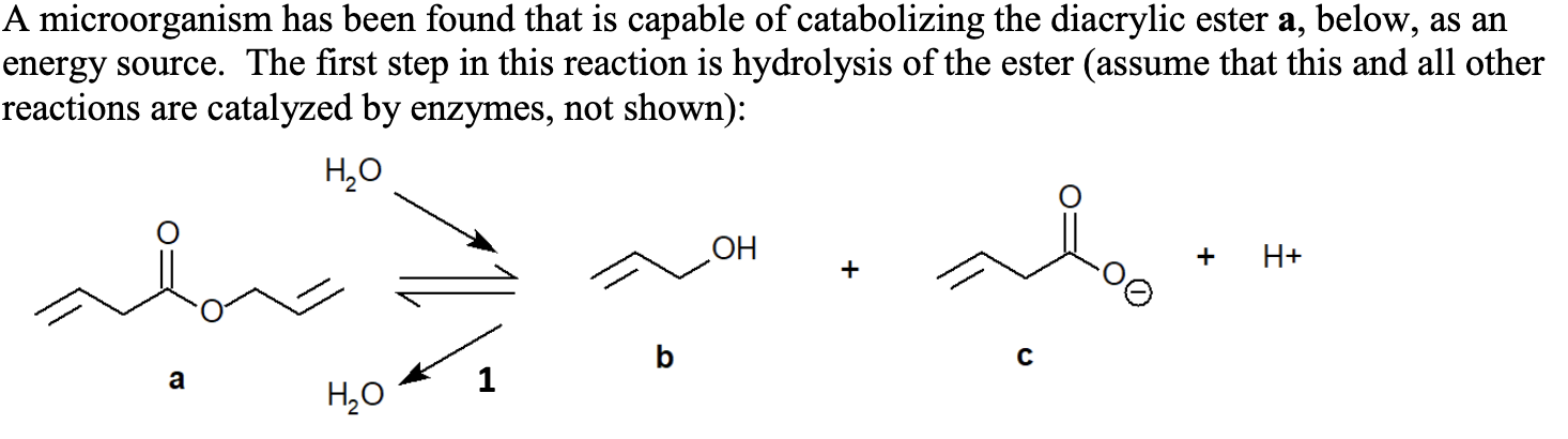 Solved HO NAD+ NADH + H+ Pathway b: OH + H+ 2 b d H2O CH2CH2 | Chegg.com