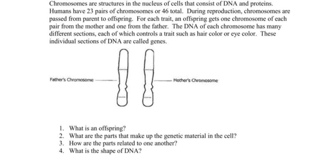 Solved Chromosomes Are Structures In The Nucleus Of Cells | Chegg.com